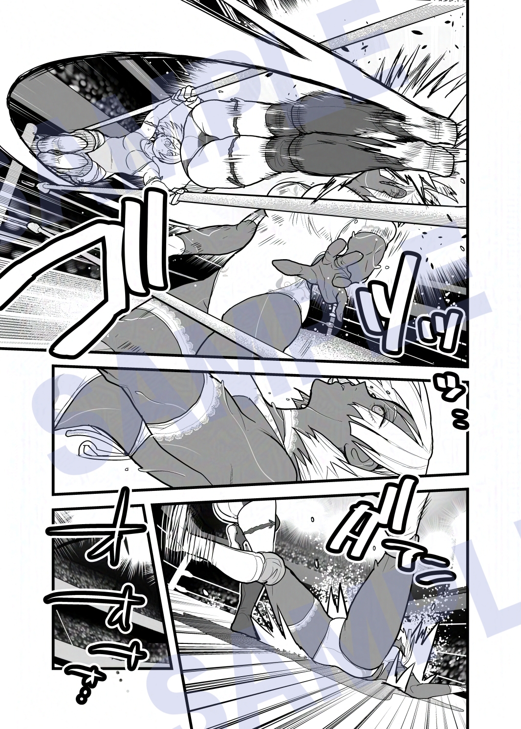 WPJ Grudge 画像2