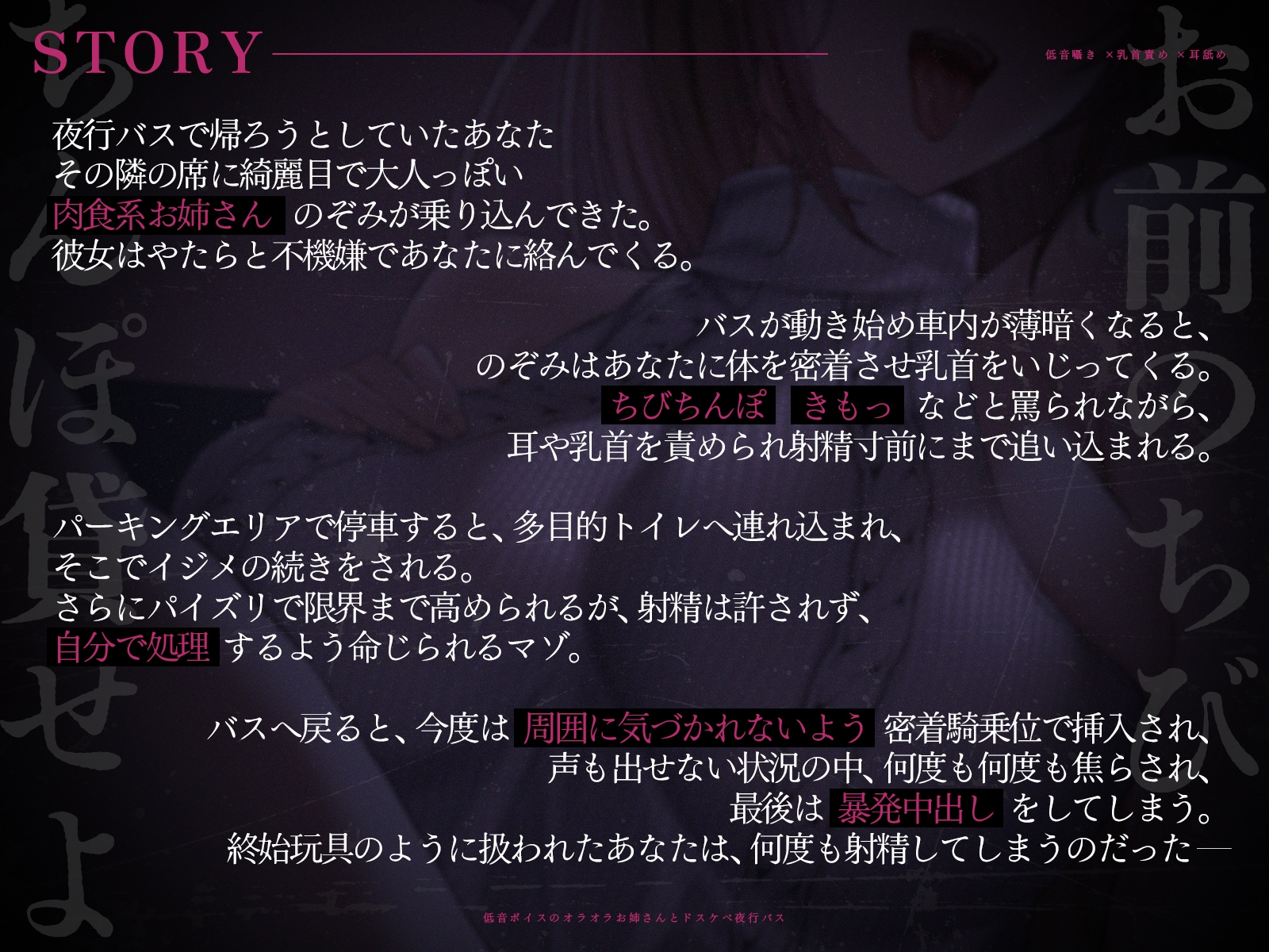 【低音囁き×乳首責め×耳舐め】「おい、お前のちびちんぽ貸せよ」低音ボイスのオラオラお姉さんとドスケベ夜行バス【CV沢野ぽぷら】 [バイノーラルサンド] | DLsite 3