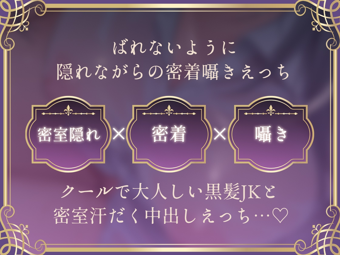 【密着囁き】バレるな。～隠れながら黒髪クールJKと夏の汗だく密着耳元無言セックス～ 画像3