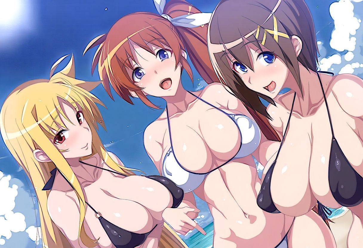 リリカルハーレム~サマービーチ~_1