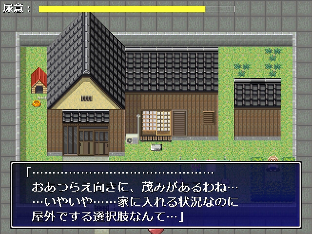 鍵がないと入れない便所 画像2