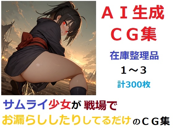 いわゆる在庫整理品となります【【在庫整理品】サムライ少女が戦場でお漏らししたりしてるだけのCG集13】　by　YOG