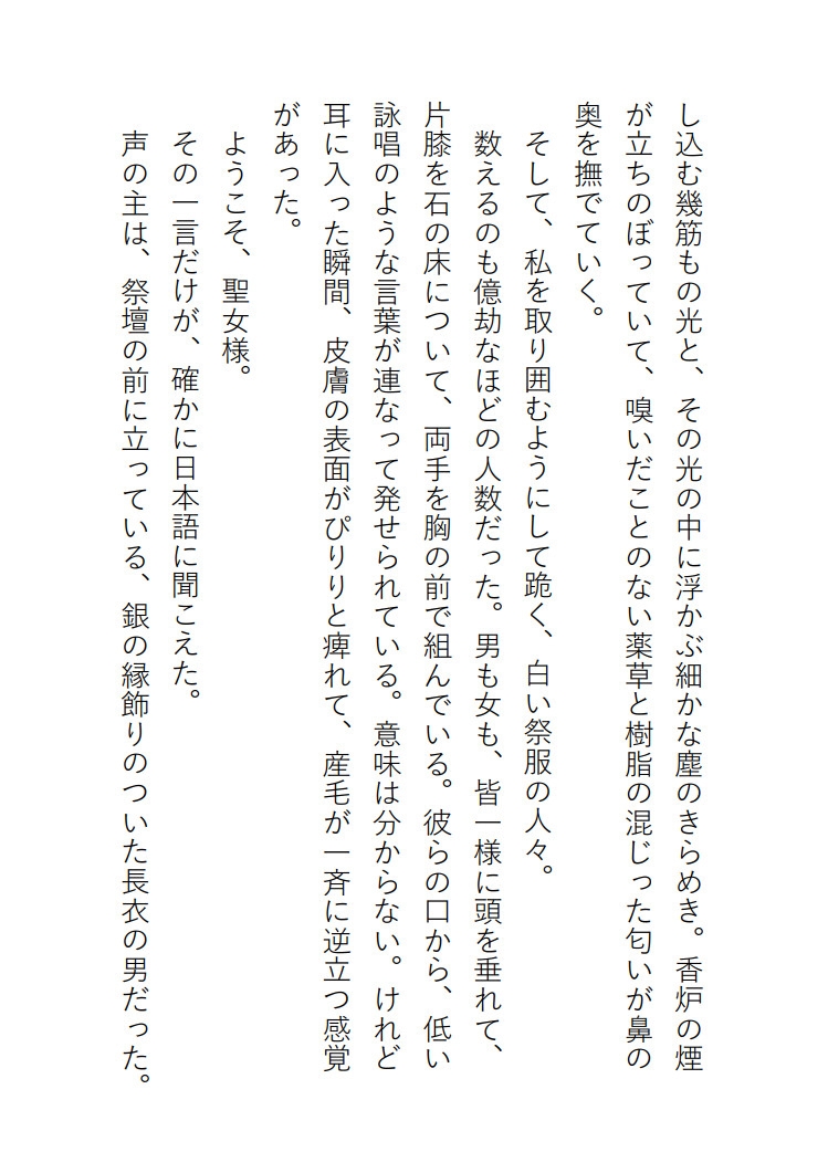 魔王討伐のための聖女として召喚されたはずが、気が付いたら闇の魔王に完全に堕とされてます 画像3