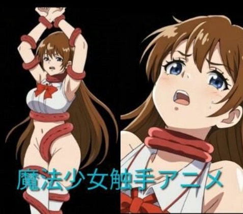 魔法少女触手アニメ