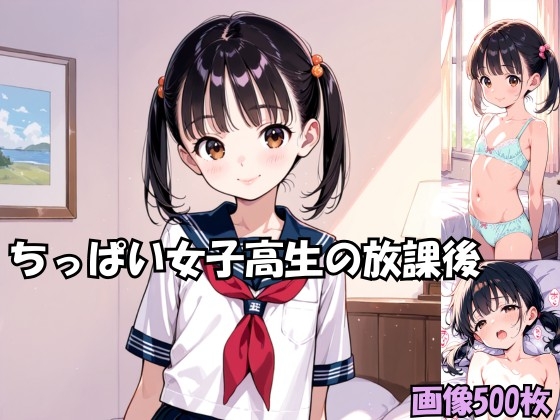 ちっぱい女子高生の放課後