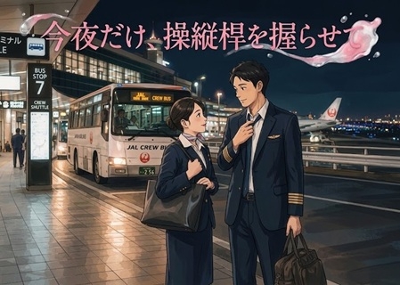 今夜だけ、操縦桿を握らせて-0画像