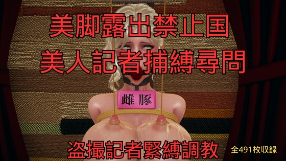美脚露出禁止国 美人記者捕縛尋問 まとめ (全6話)