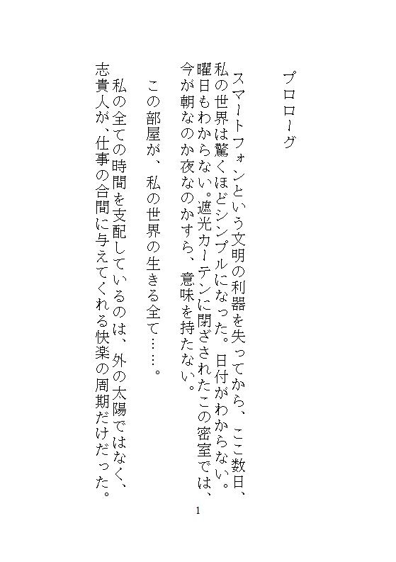 ハイスペ義兄の密室絶頂管理。クリトリス玩具を挿し込まれたままの私は、自宅突撃してきた後輩君とドア一枚隔てて声を殺してイかされる。 画像1