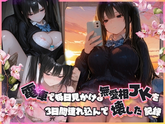 電車で毎日見かける無愛想JKを3日間連れ込んで壊した記録 preview 1