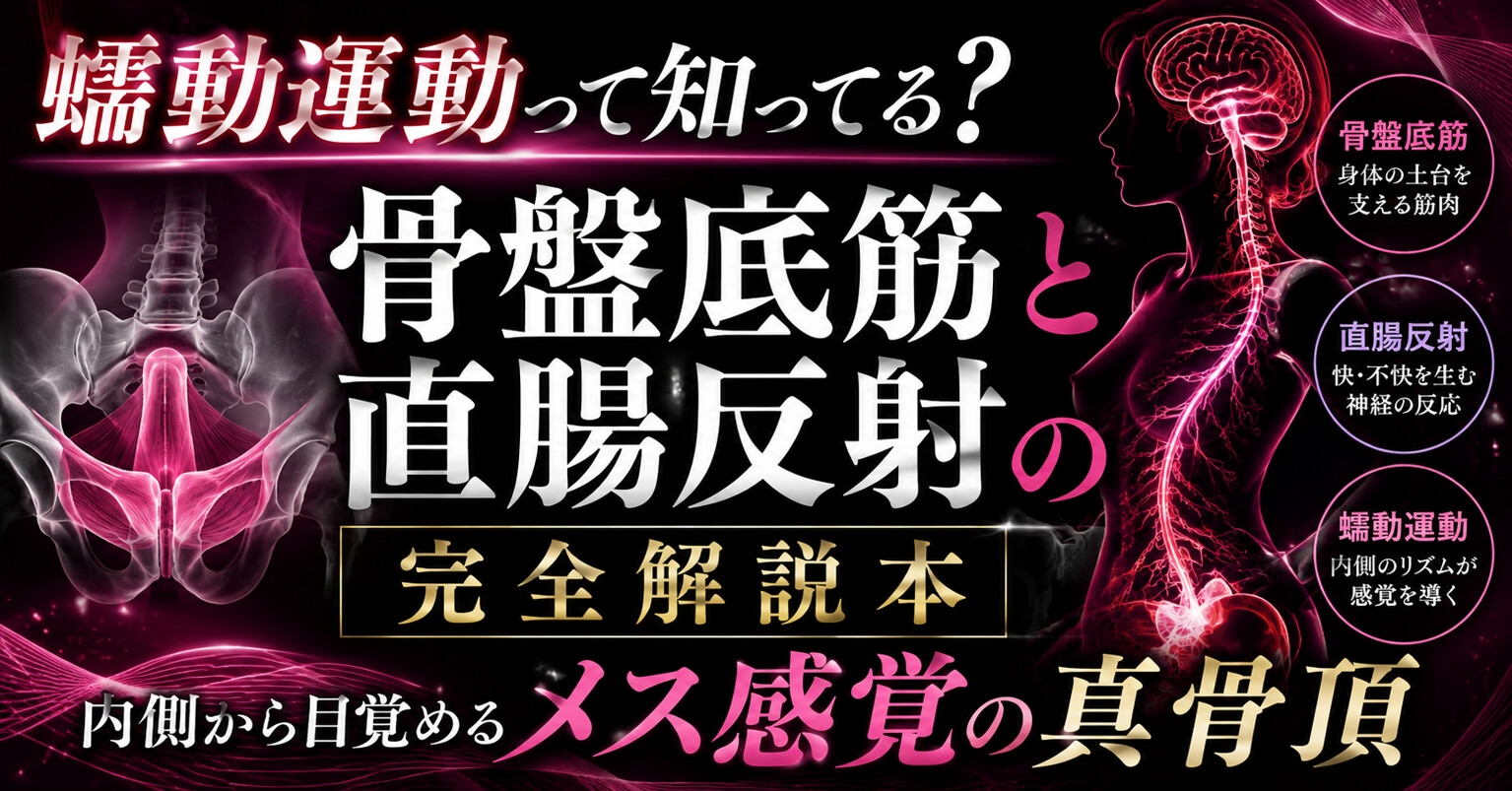 ♡メスイキが起きる瞬間♡に発動する エネマ・アネロスがアナルの中で 勝手に動き出す蠕動運動の起こし方 ♡徹底解説♡ thumbnail 2