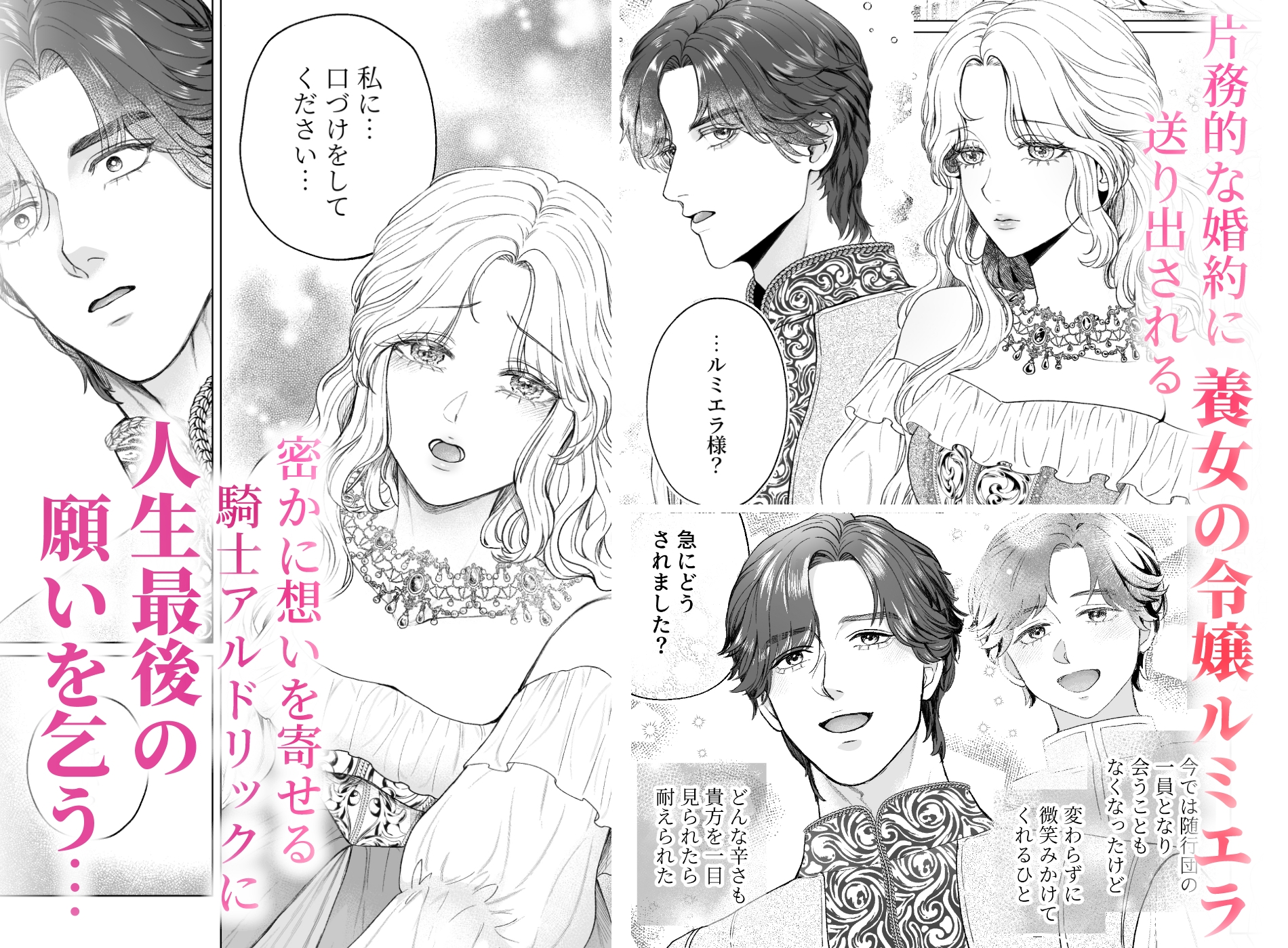 執愛騎士は花嫁を逃がさないー最後の夜にくちづけをー 画像2