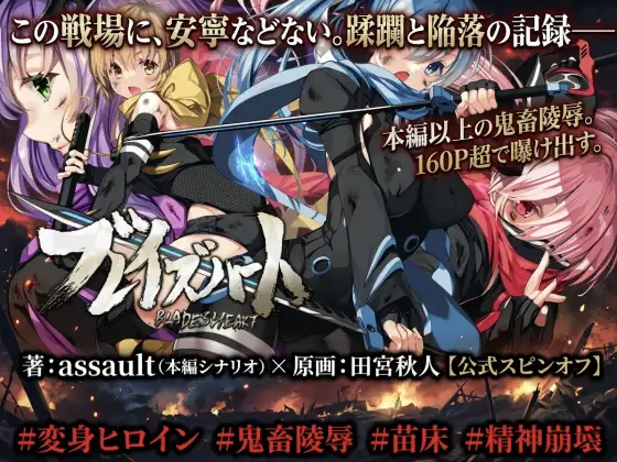 ブレイズハート小説版 ジャケット画像