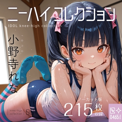 ニーハイコレクション 小野寺れな