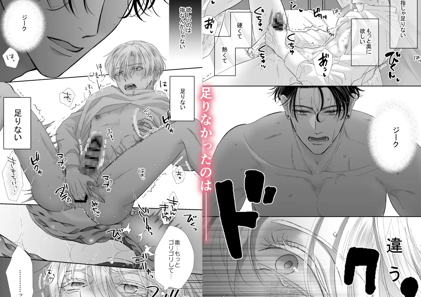 サンプル画像5