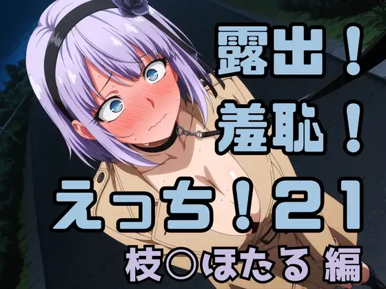 露出！羞恥！えっち！二次創作イラスト集21[枝○ほたる] ジャケット画像