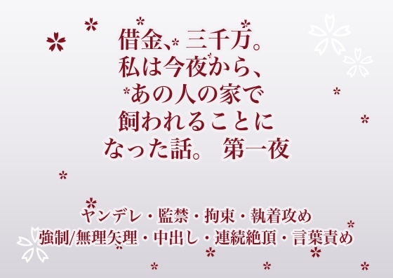借金、三千万。私は今夜から、あの人の家で飼われることになった話。 第一夜
