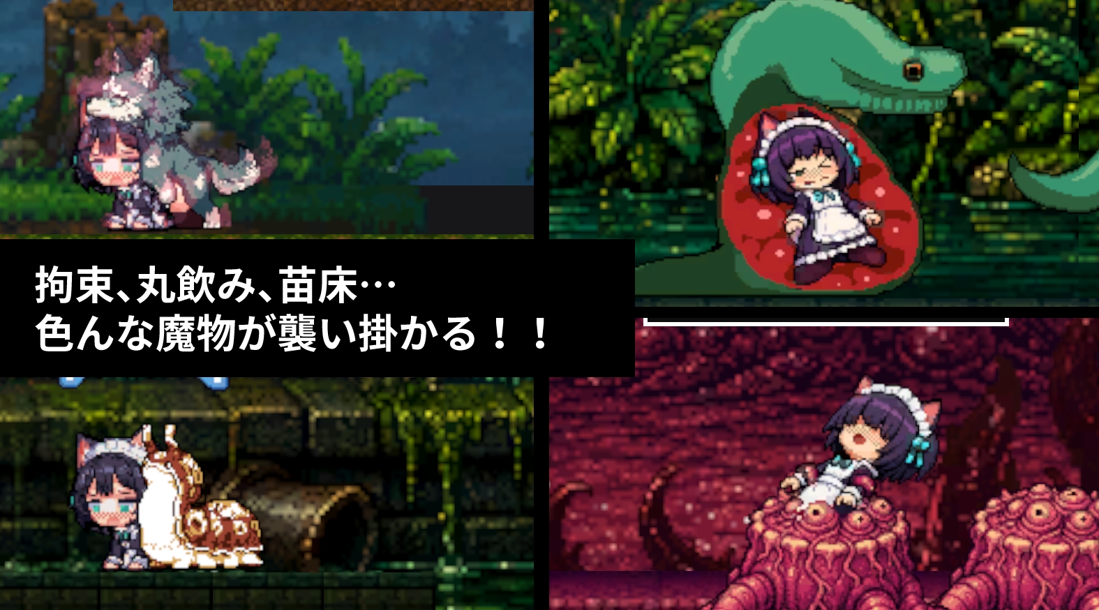 サンプル画像 2枚目