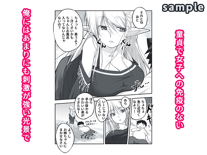剥いてくれるエルフ姉が欲しかった 画像2