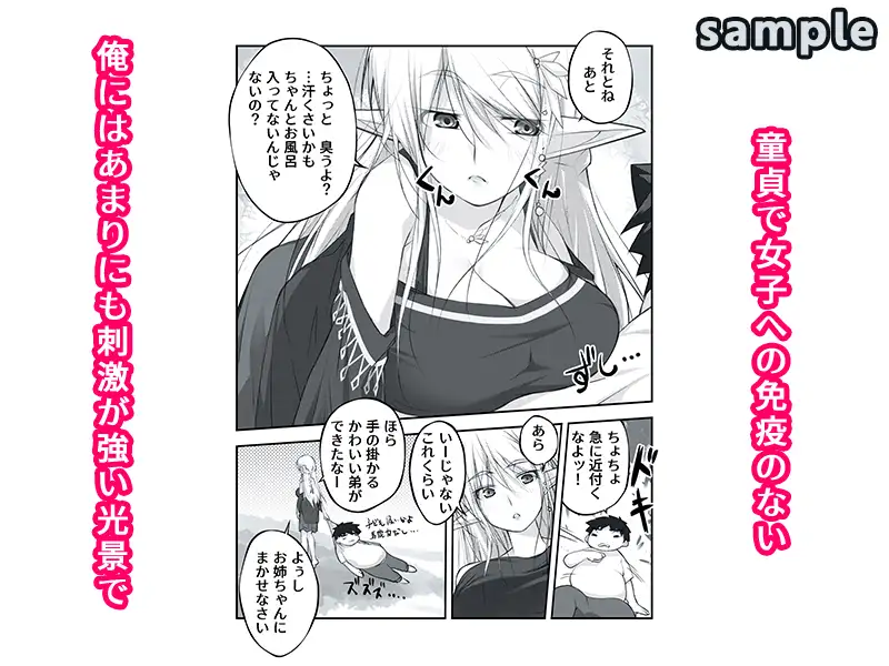 剥いてくれるエルフ姉が欲しかった サンプル画像 2