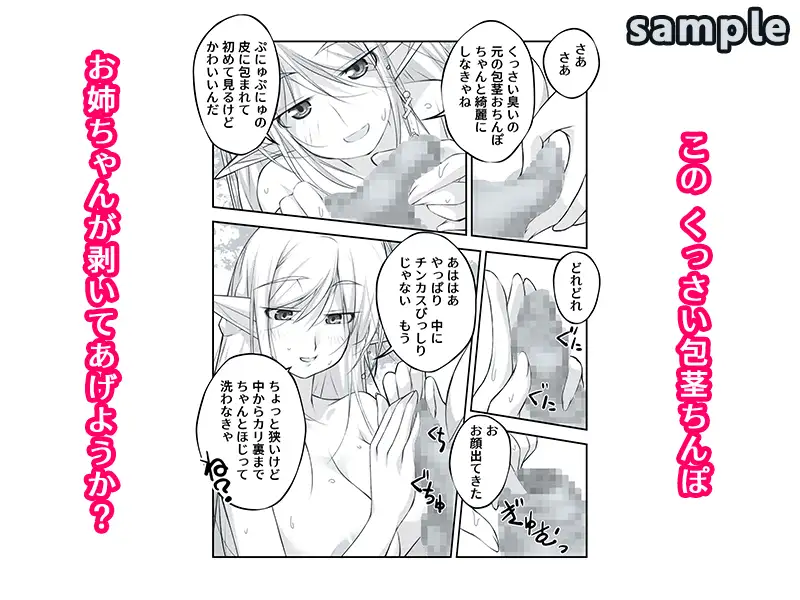 剥いてくれるエルフ姉が欲しかった サンプル画像 3