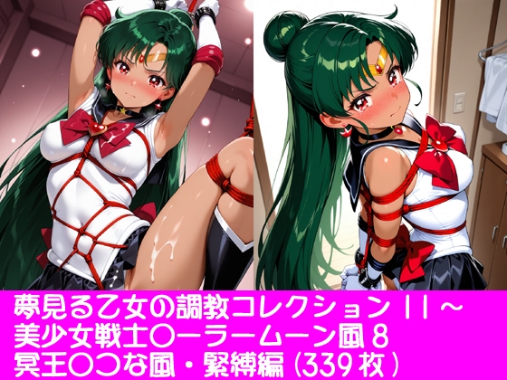 夢見る乙女の調教コレクション11〜美少女戦士〇ーラームーン風8 ・冥王〇つな風・緊縛編