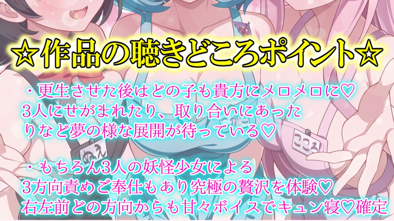 【東方project×5時間×3妖怪少女】命蓮寺の住職になって3大問題児を更生させたら極上ハーレムが出来上がった件!!✅5大特典付き✅ 画像6