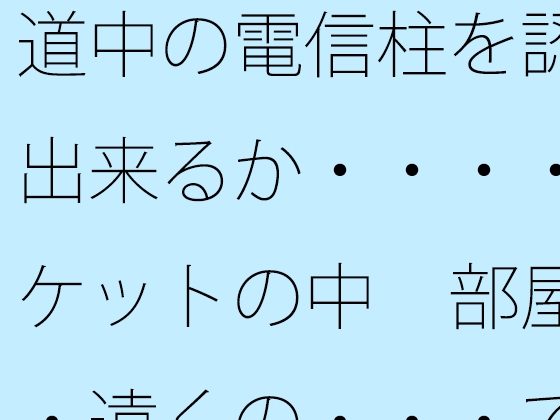 道中の電信柱を認識出来るか・・・・ポケットの中 部屋・・遠くの・・・で木箱の壁は