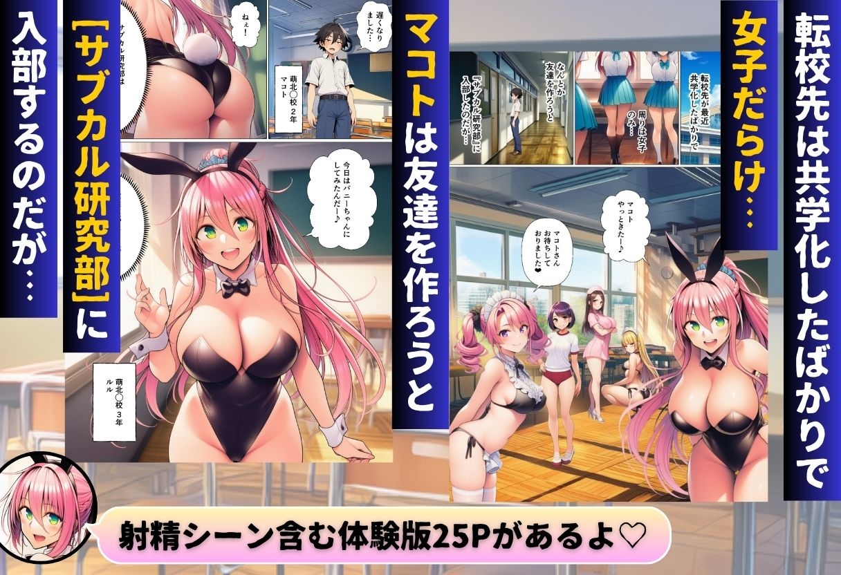 サンプル画像
