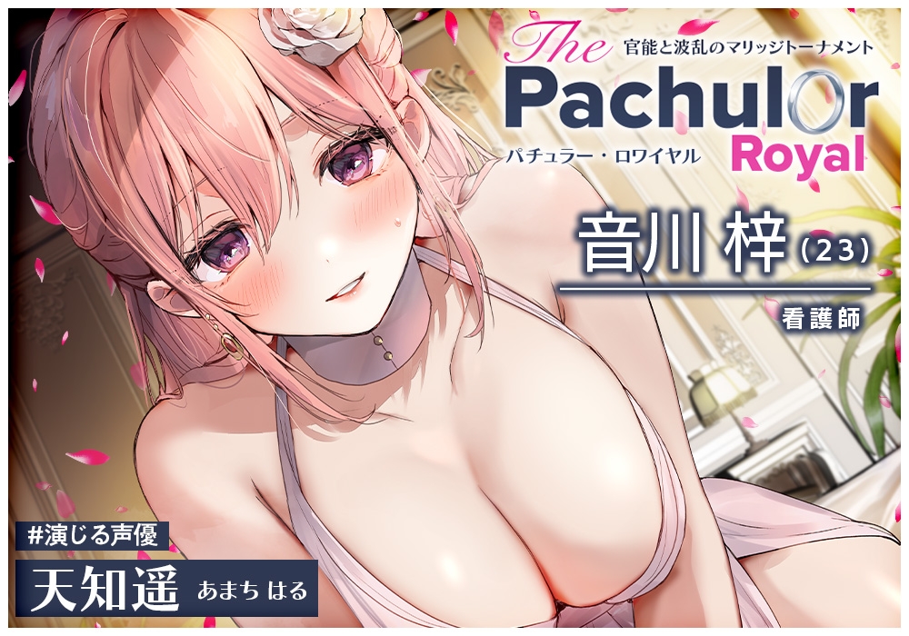 【24時間】バチュラー・ロワイヤル！  コンプリートパック 画像1