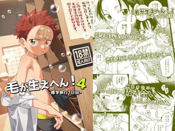 毛が生えへん!4 -修学旅行1日目-
