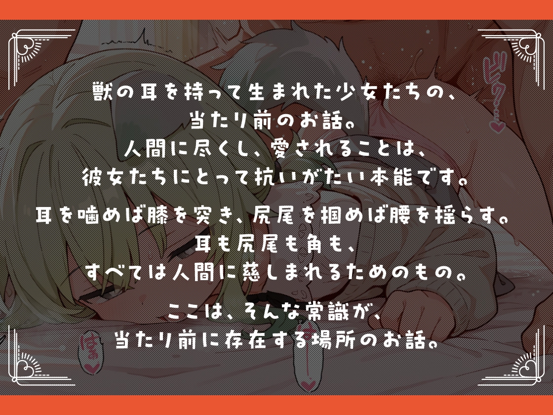 サンプル画像