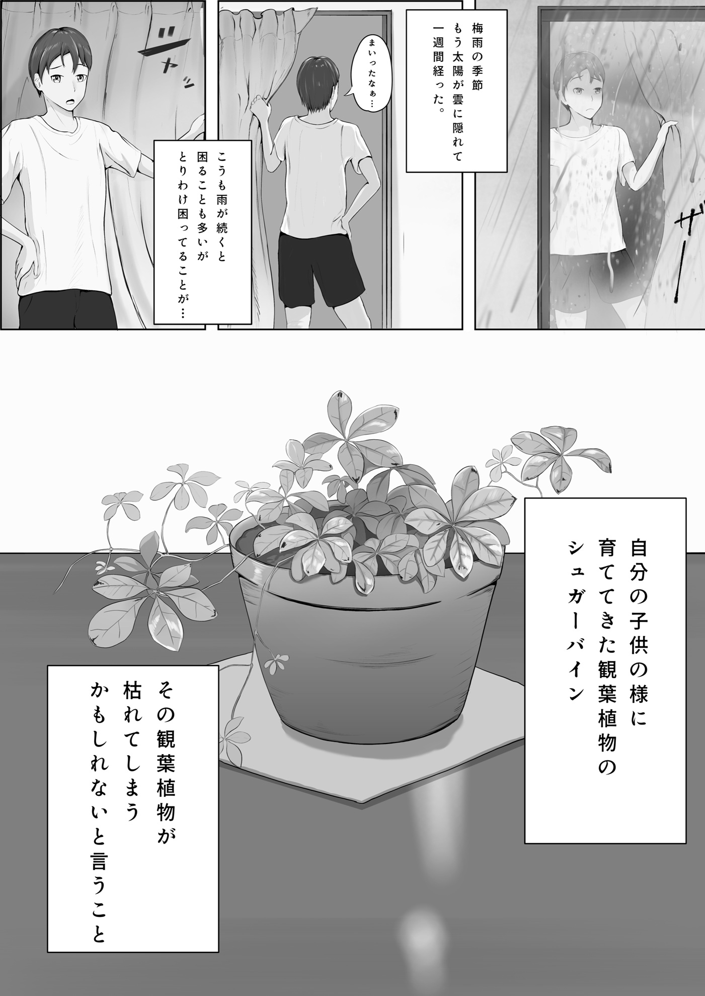 水やりおねがいします！！ 画像1