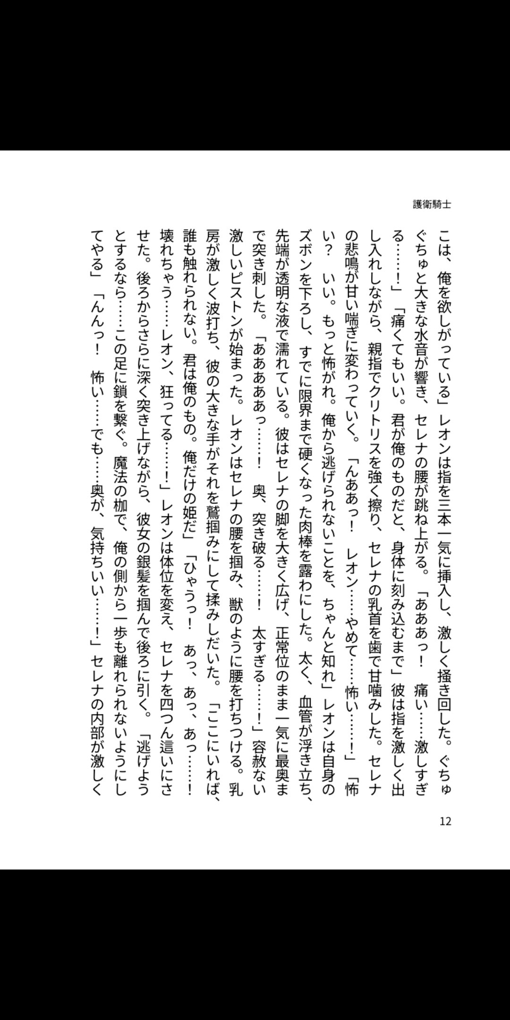 護衛騎士は王女を狂愛の檻に閉じ込める〜守るためのはずが、首輪と鎖で永遠に溺愛するまで〜 画像3