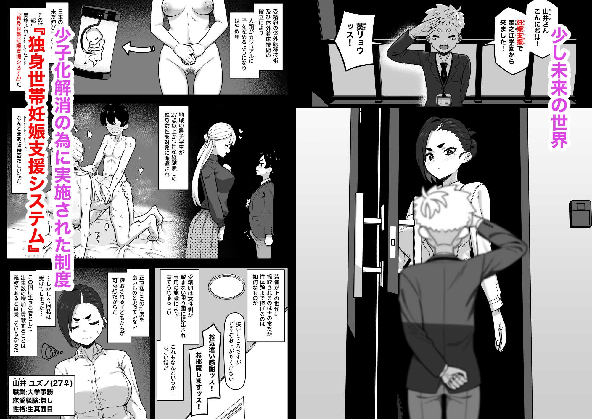 独身世帯妊娠支援システム-2