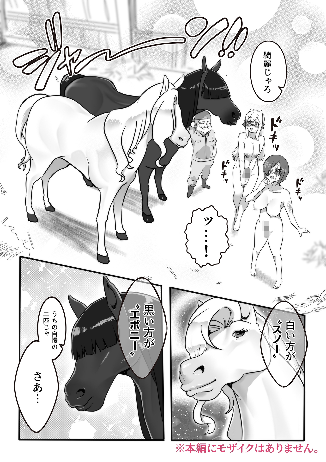 ふたなり秘密牧場 人里離れた山奥で牝馬にマジ種付け 画像5