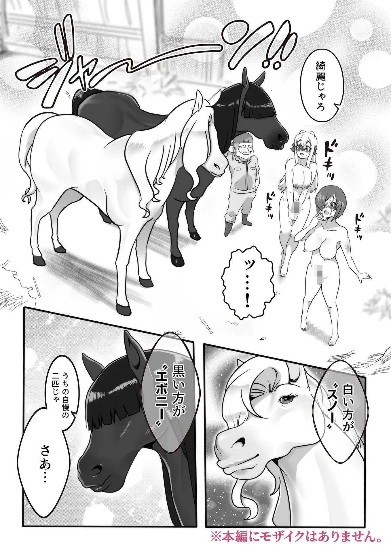 ふたなり秘密牧場 人里離れた山奥で牝馬にマジ種付け サンプル画像 5