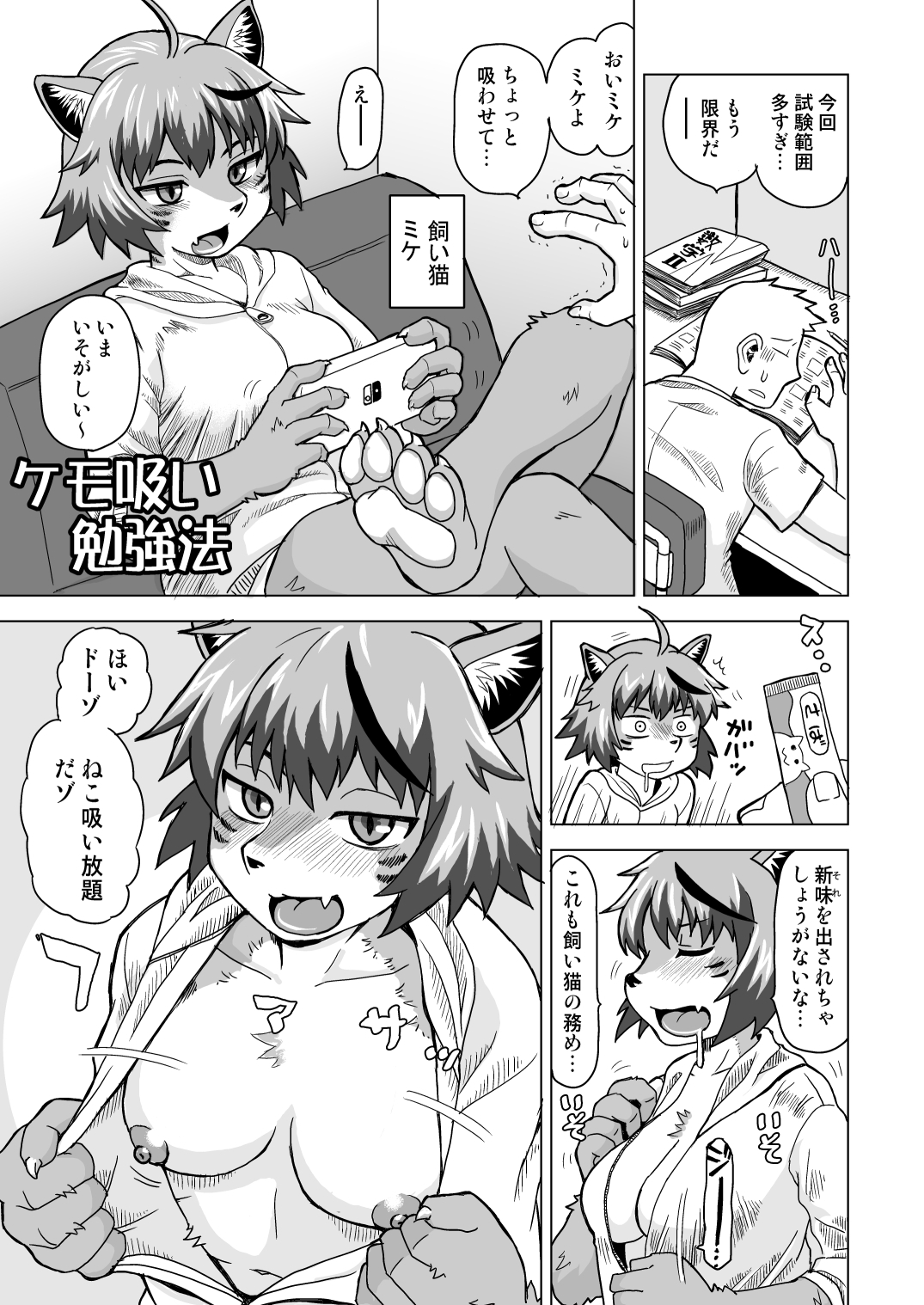 ネコモリアワセ-4