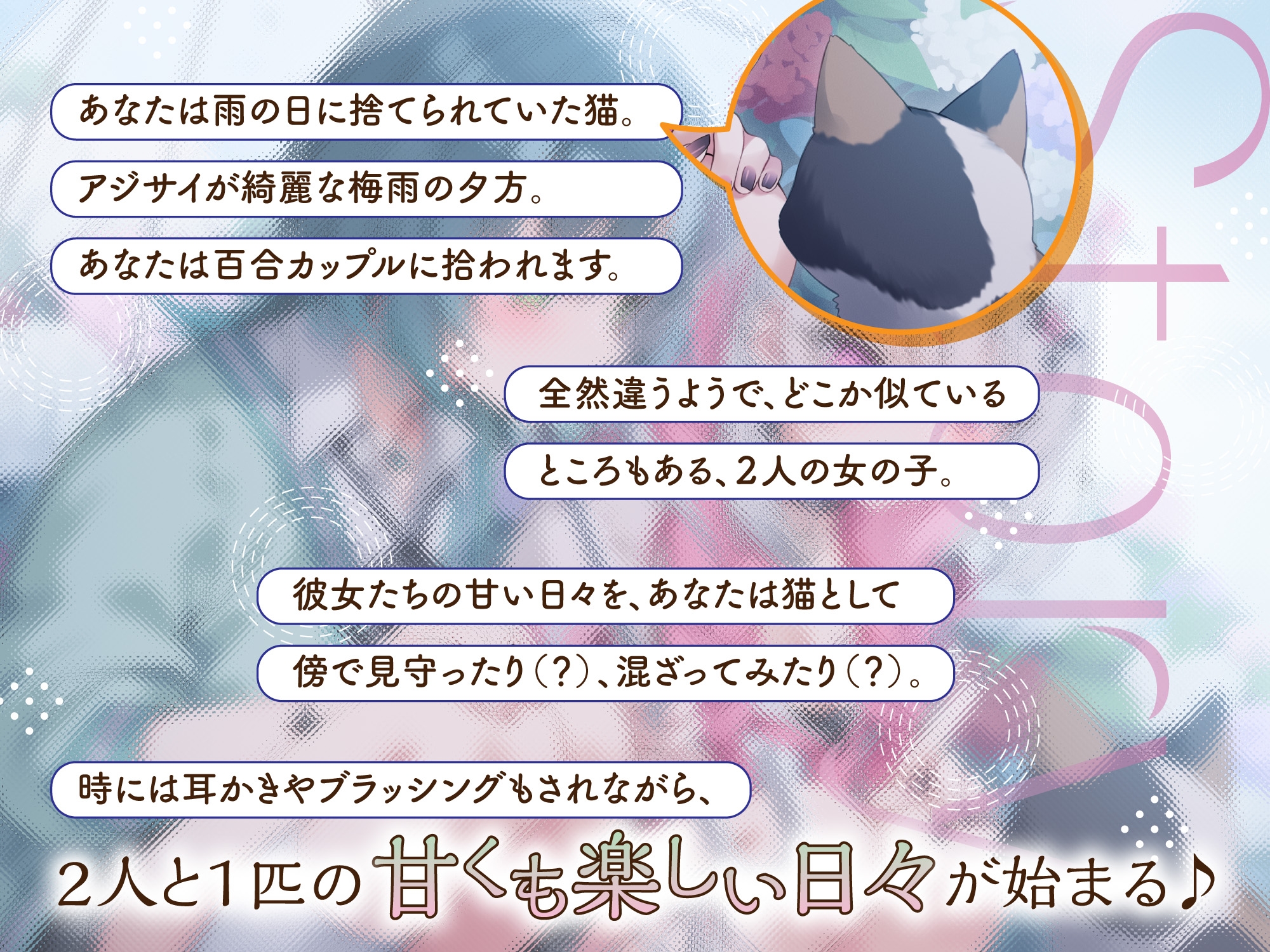【実百合カップル】梅雨空ハーモニー ～恋するふたりと猫1匹～【猫視点ASMR】 画像1