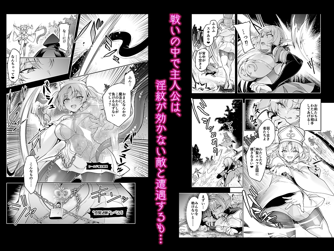 エルフに淫紋を付ける本 LEVEL:9-4