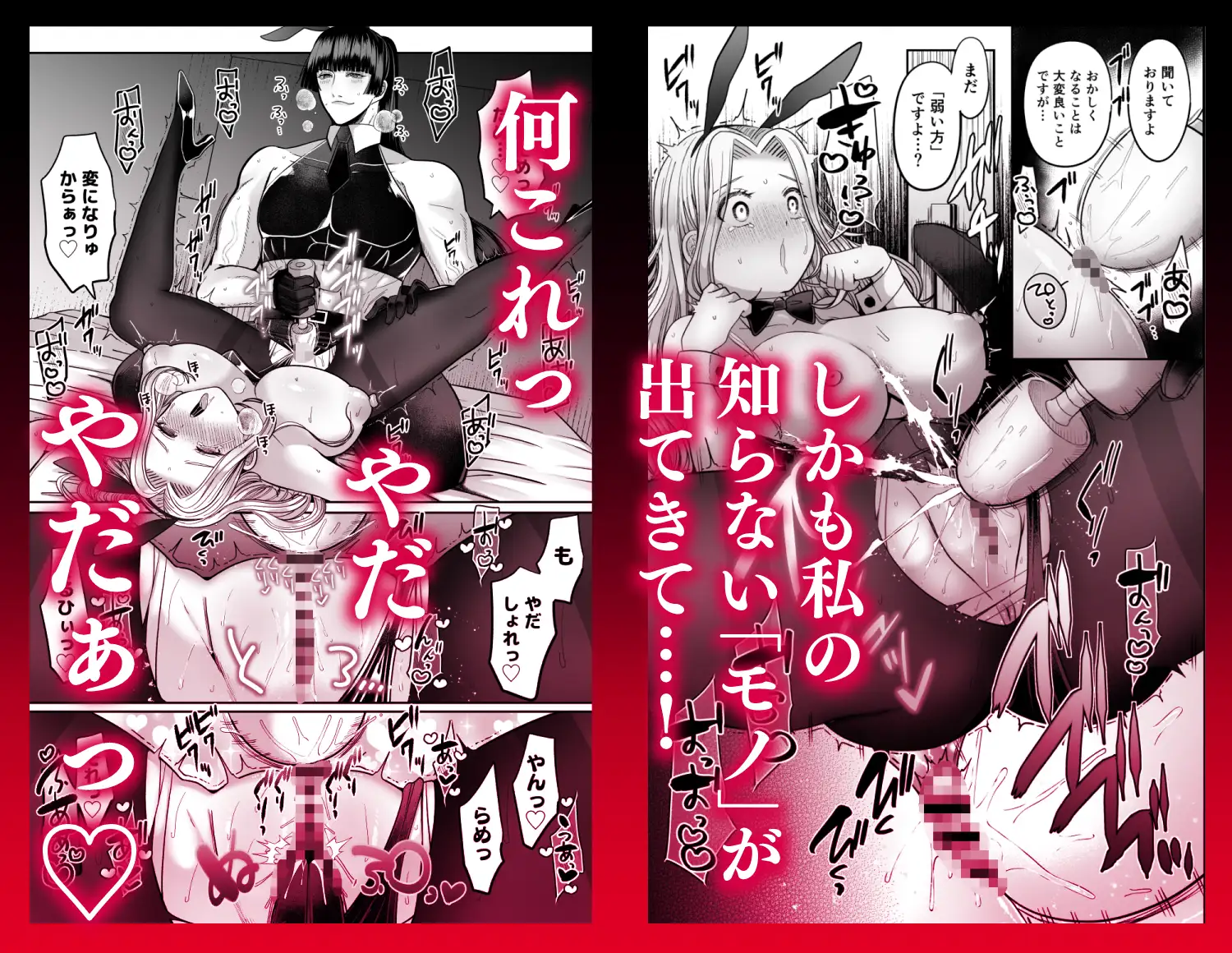 サンプル画像5