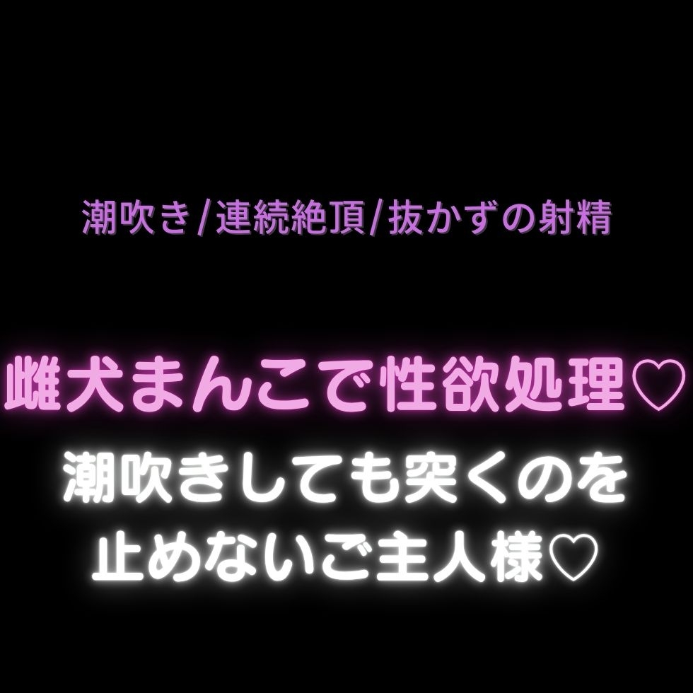 【潮吹き/連続絶頂/抜かずの射精】雌犬まんこで性欲処理♡〜潮吹きしても突くのを止めないご主人様♡〜-1画像