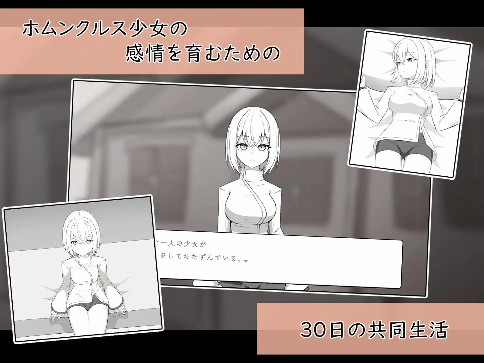 人造少女の診察カルテ PC端 日文原版 预览图