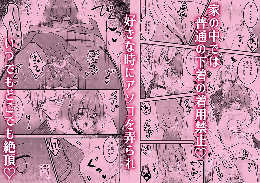 年上幼馴染の溺愛～妹扱いだったのに成人したら快楽開発が始まり悦楽の日々です～ [星七木柚店] | DLsiteがるまに 7
