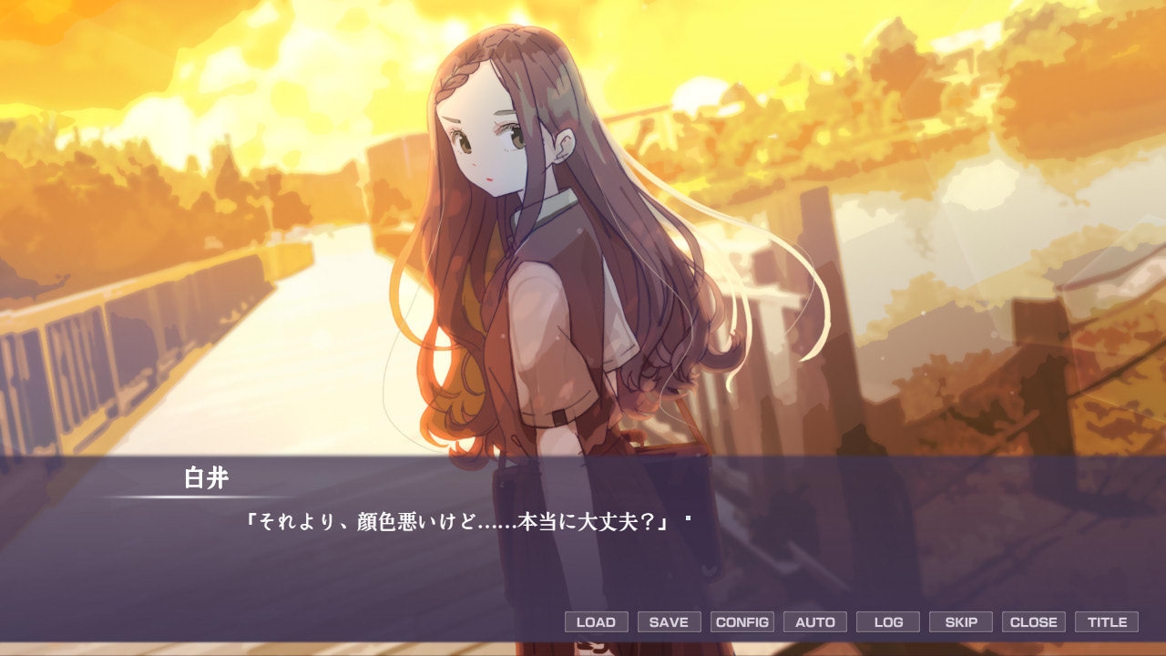 日陰の日葵 - sun in the shade 画像2