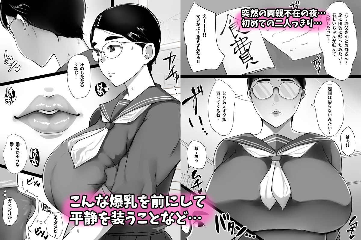 地味子のくせにむちむちな姉にムラムラしてセックスしちゃった話 画像2