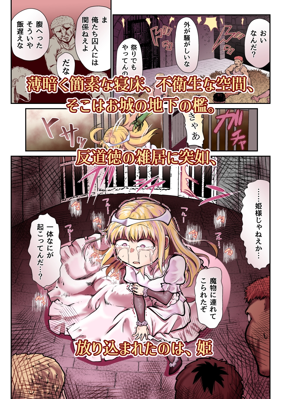 滅んだ国のお姫様は自分のお城の牢の中 画像1