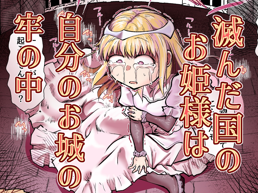 滅んだ国のお姫様は自分のお城の牢の中 画像6