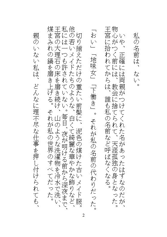 身代わりに地下牢へ落とされた地味メイド。狂暴な竜皇太子の本能を覚醒させ、ナカをマグマのような精子でどちゅどちゅ満たされる溺愛生活 画像2