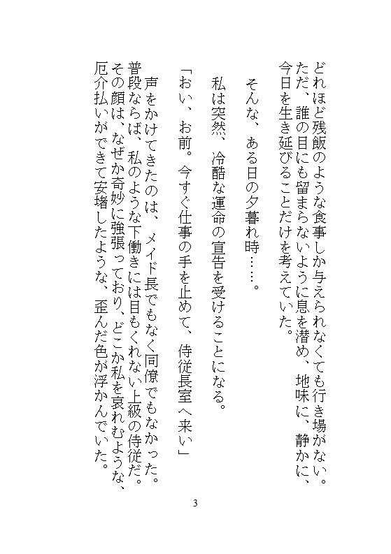 身代わりに地下牢へ落とされた地味メイド。狂暴な竜皇太子の本能を覚醒させ、ナカをマグマのような精子でどちゅどちゅ満たされる溺愛生活 画像3