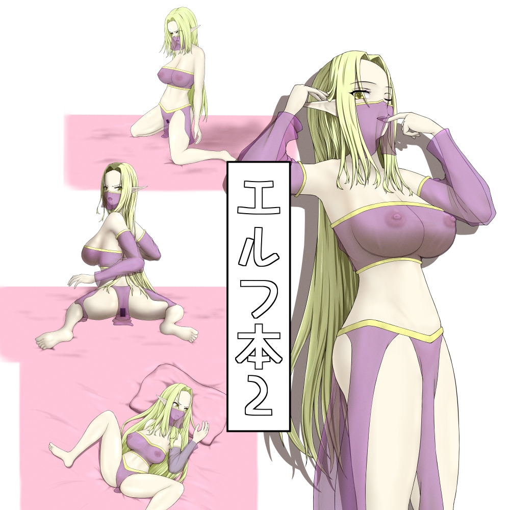 エルフ本2 画像1